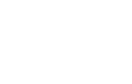 Llwyn Country House