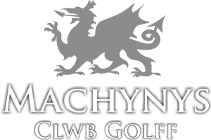 Machynys