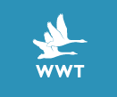 WWT